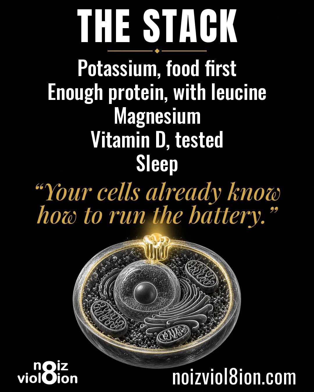 The stack: Potassium, food first. Enough protein, with leucine. Magnesium. Vitamin D, tested. Sleep. With the quote “Your cells already know how to run the battery.”
